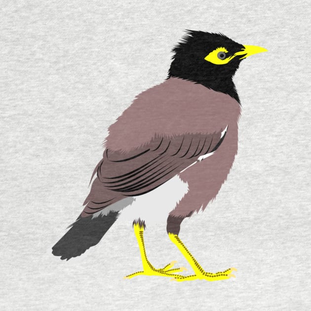 Common Myna by stargatedalek